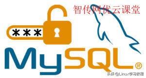 mysql重置密码怎么操作（如何找回mysql数据库的连接密码）(3)