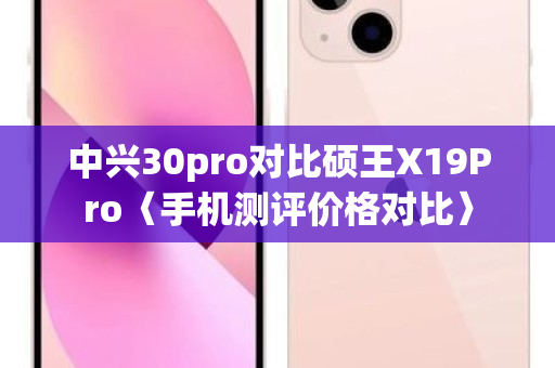 中兴30pro对比硕王X19Pro〈手机测评价格对比〉