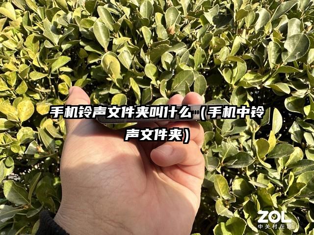 手机铃声文件夹叫什么（手机中铃声文件夹）