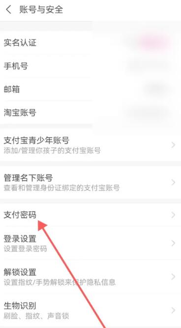 《支付宝》密码怎么设置