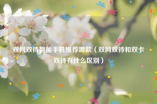 双网双待智能手机推荐哪款（双网双待和双卡双待有什么区别）