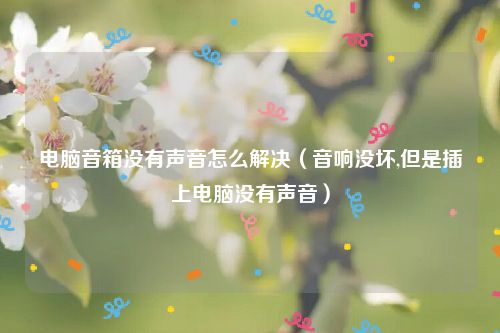 电脑音箱没有声音怎么解决（音响没坏,但是插上电脑没有声音）