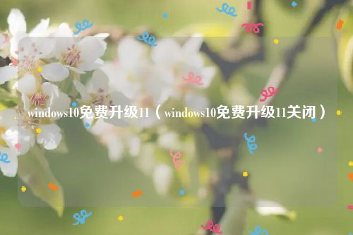 windows10免费升级11（windows10免费升级11关闭）