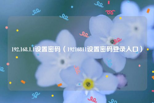 192.168.1.1设置密码（19216811设置密码登录入口）