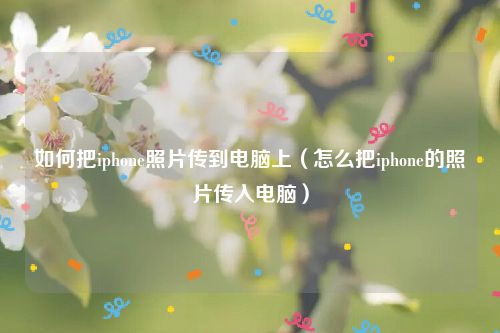 如何把iphone照片传到电脑上（怎么把iphone的照片传入电脑）