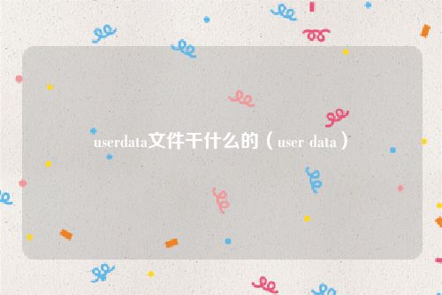 userdata文件干什么的（user data）