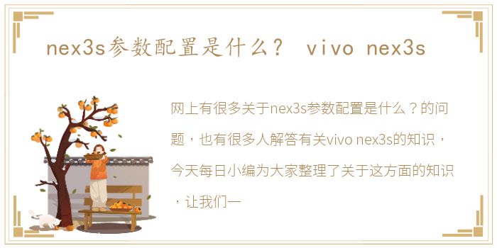 nex3s参数配置是什么？ vivo  nex3s