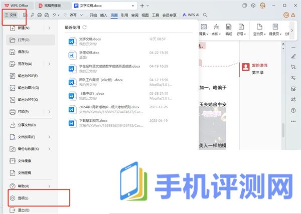 WPS文字镜像反转怎么弄