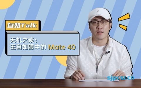 无机之谈：王自如眼中的 Mate 40