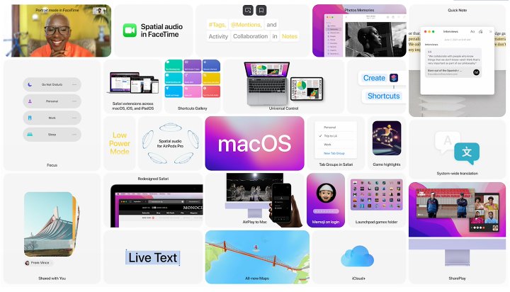 iOS/iPadOS 15 发布，全新特性抢先看