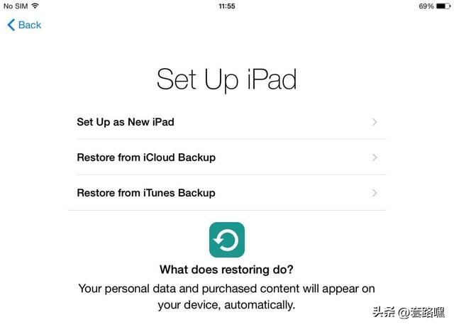 如何设置新的 iPhone 或 iPad（设置 ipad 与 iphone 的方法）(5)