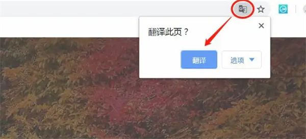 谷歌网页翻译在哪里打开