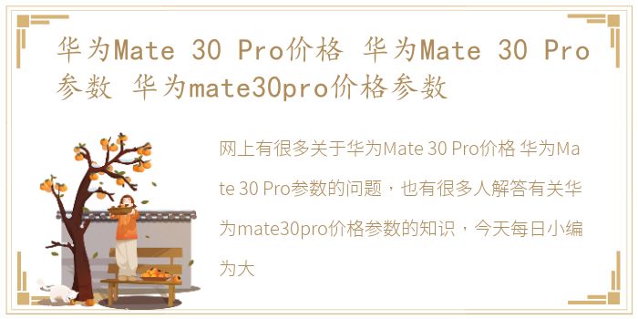 华为Mate  30 Pro价格 华为Mate  30 Pro参数 华为mate30pro价格参数