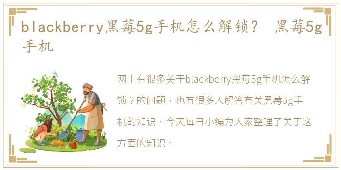 blackberry黑莓5g手机怎么解锁？ 黑莓5g手机