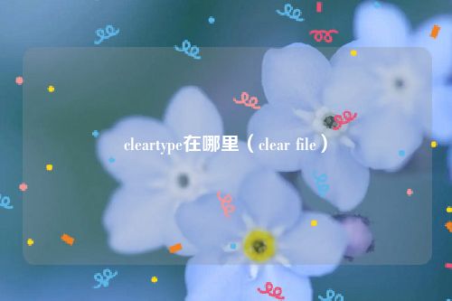 cleartype在哪里（clear file）