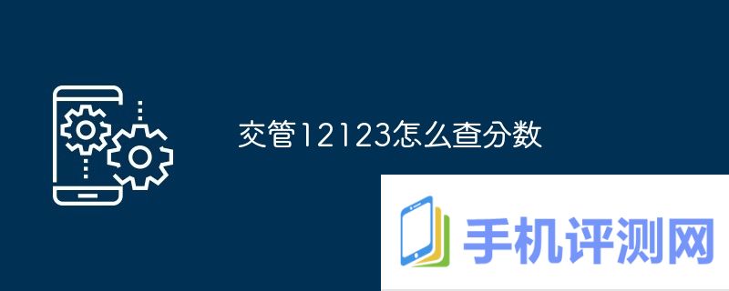 交管12123怎么查分数